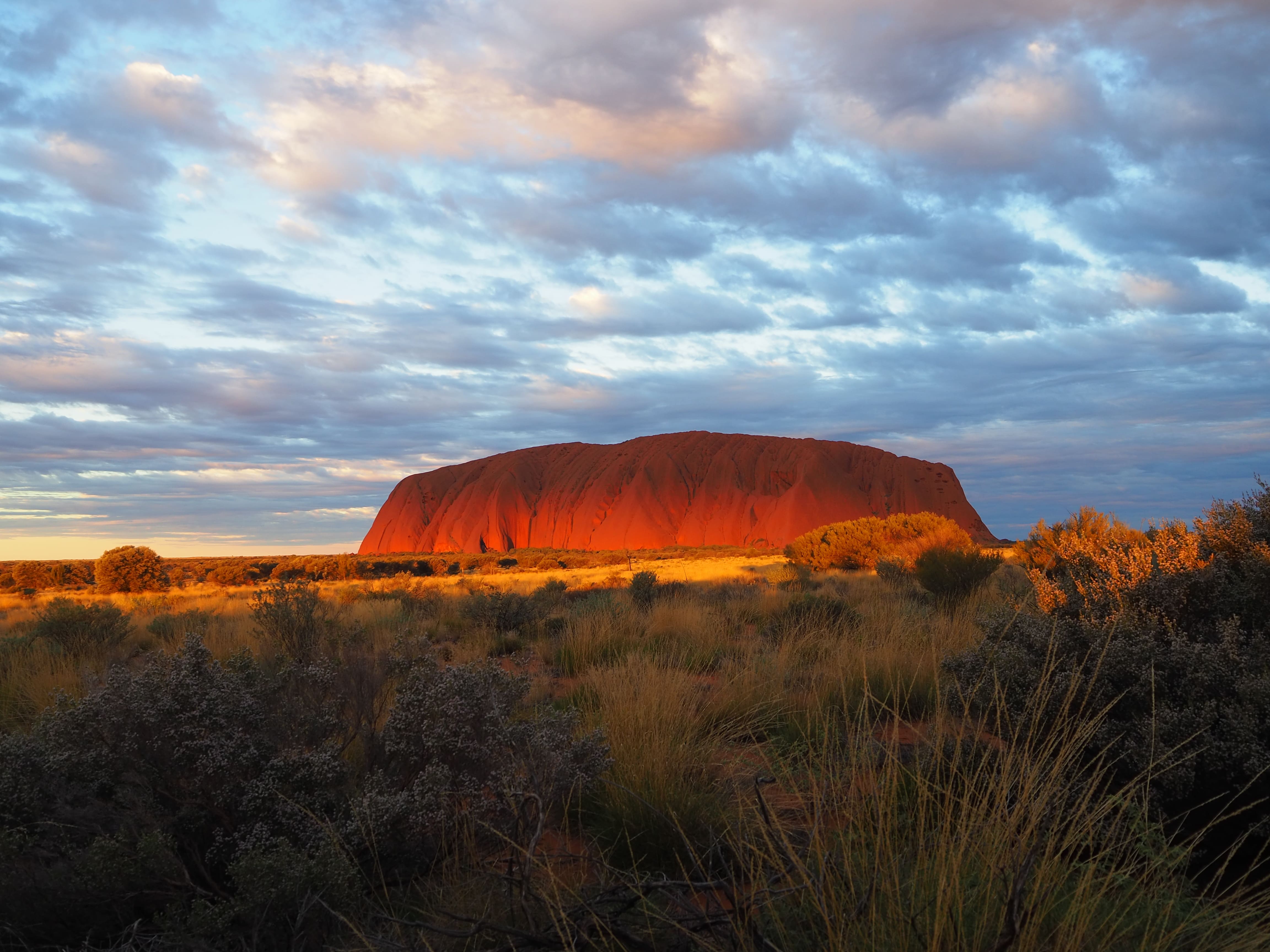 主要都市発着フライト付ウルル宿泊パッケージプラン